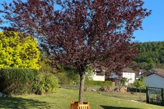 wohnanlage_garten_3